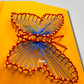Cuttie butterfly (portokalli)