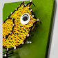 The bird