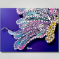 Metamorphosis. The art of transformation